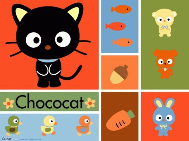 Choco Cat Photo by Sofia_Rivera_Medina | Photobucket